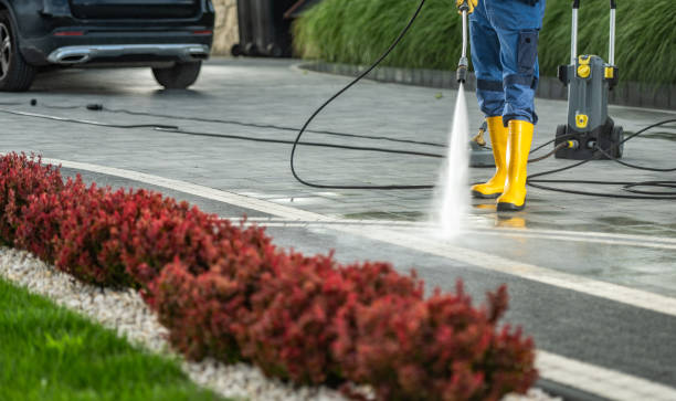 Best Sidewalk and Walkway Cleaning  in Lennox, CA
